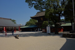 筥崎宮