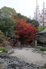 日本の庭と紅葉
