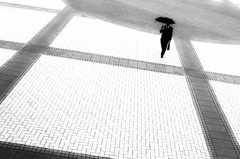 Mr.Rain
