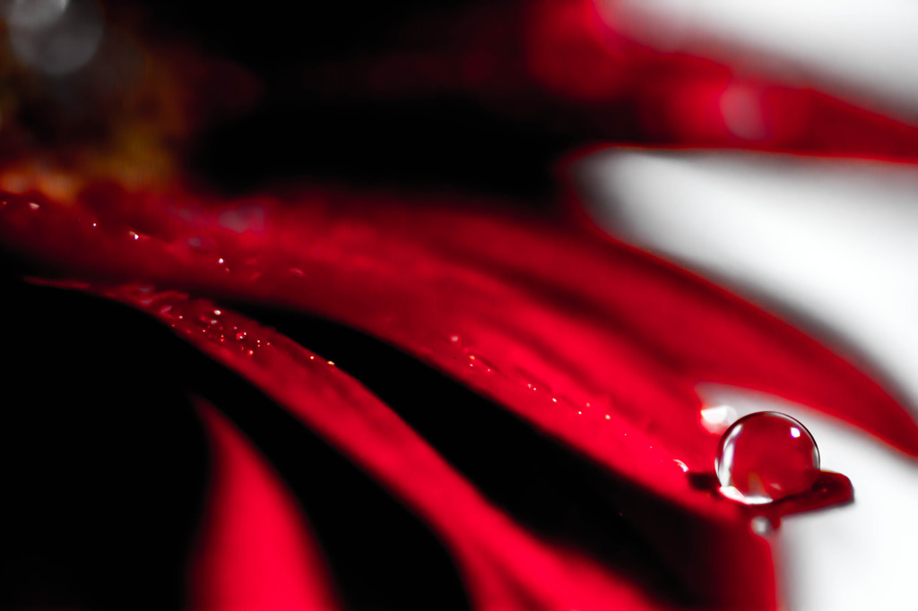 Rainy Season
