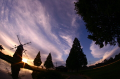 NEW MORNING