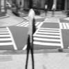 Distortion