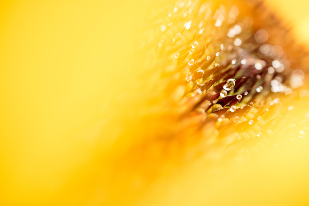Tearful eye