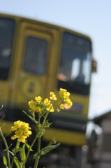 列車の風を受けて