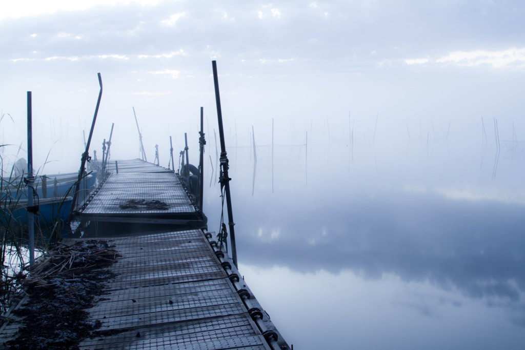 Foggy lake