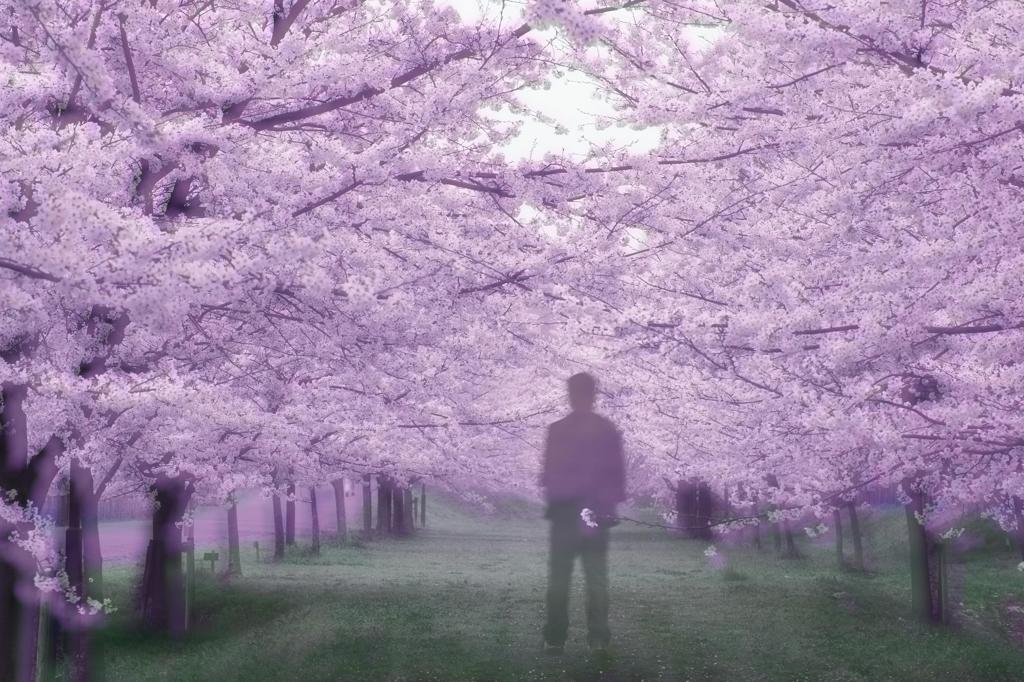 Daydream Believer