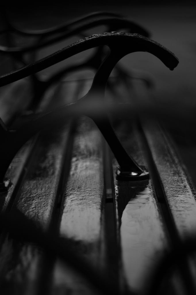 IN THE RAIN