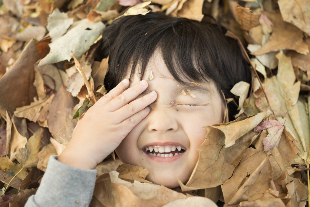 Autumn Leaves