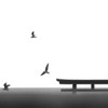 Float in the air