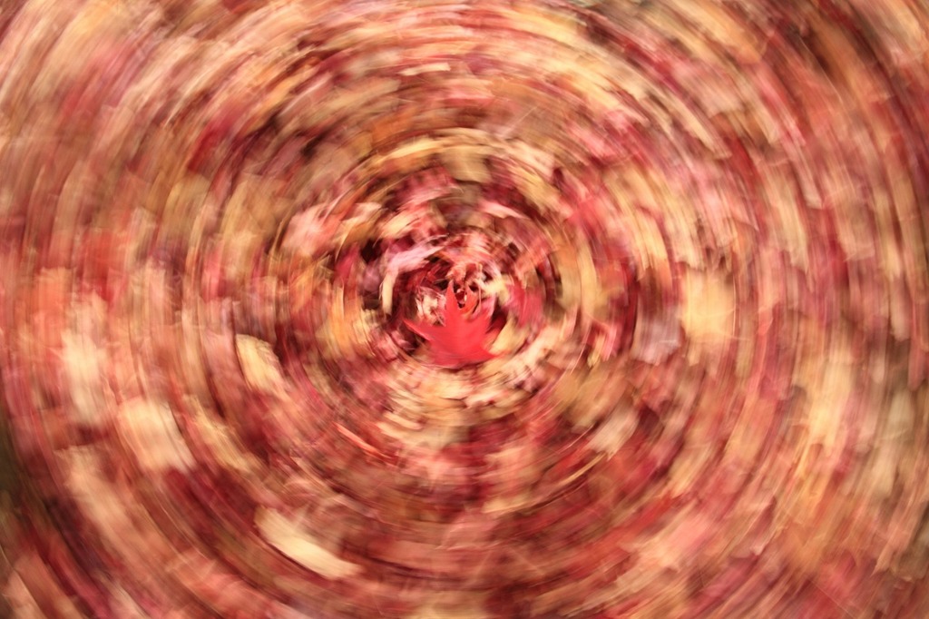 巡る季節