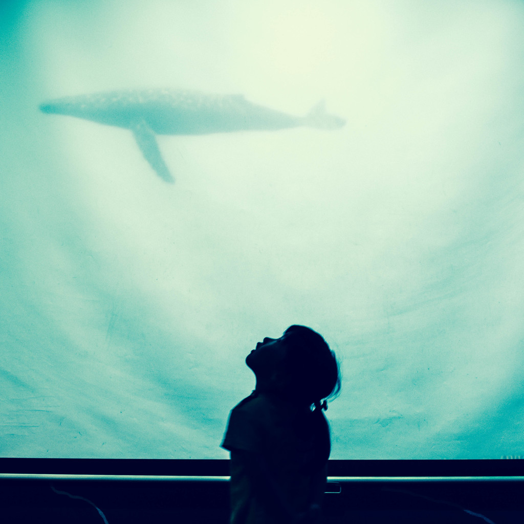 The girl and the sea