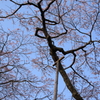 青空の下