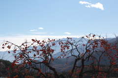 山里蒼天