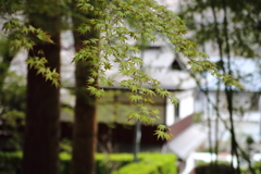 季節は廻り