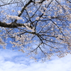 空に向かって