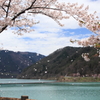 ダム湖畔