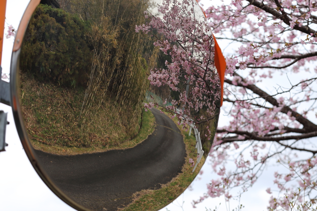 曇天のカーブミラー