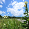 夏空とせいくらべ