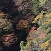 色の競演