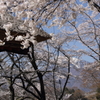 南アルプスを背景に