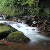 DPP_0065