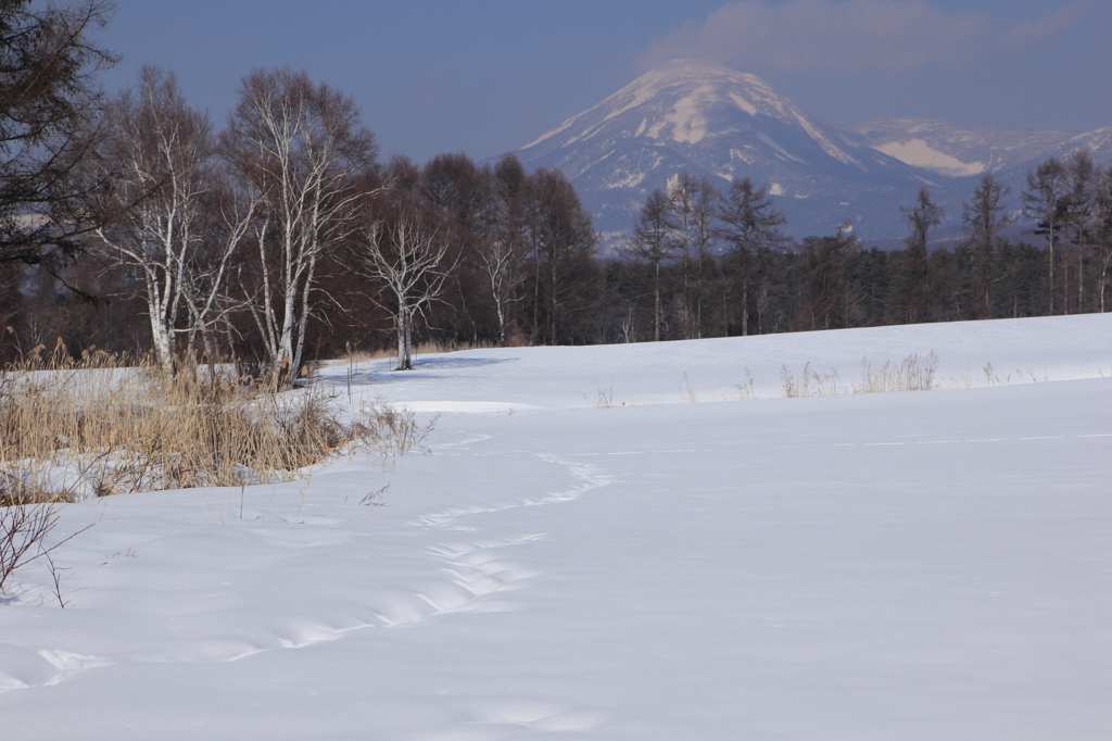 雪原遠くに