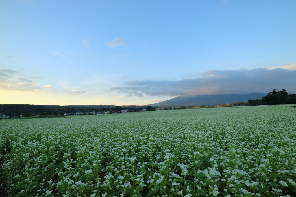 夕暮れ　遠く南八ヶ岳