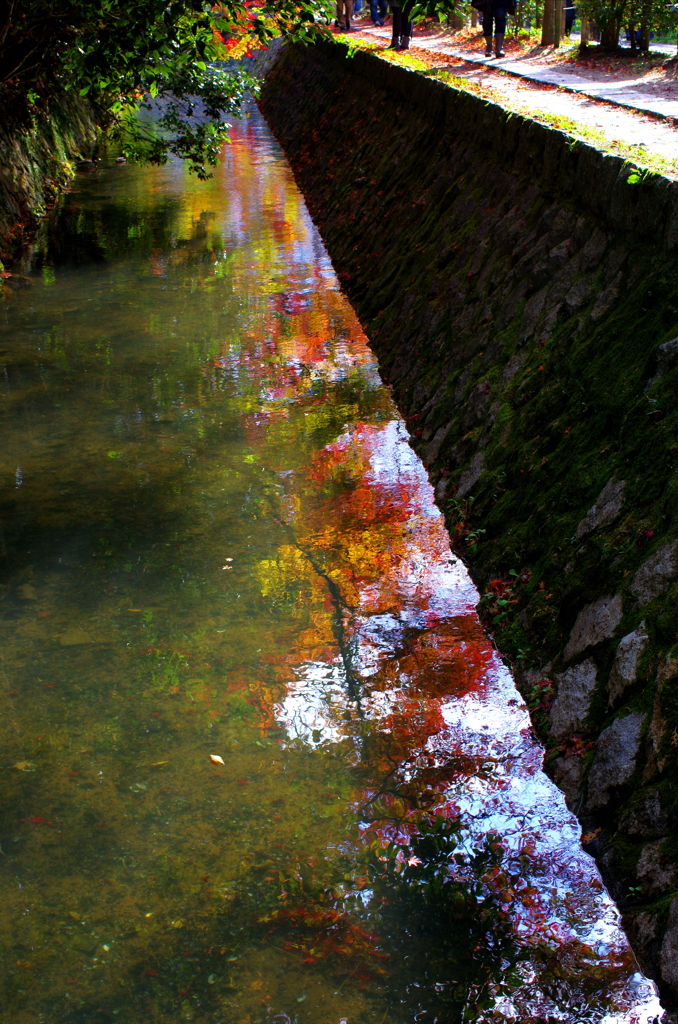 IMGP0112