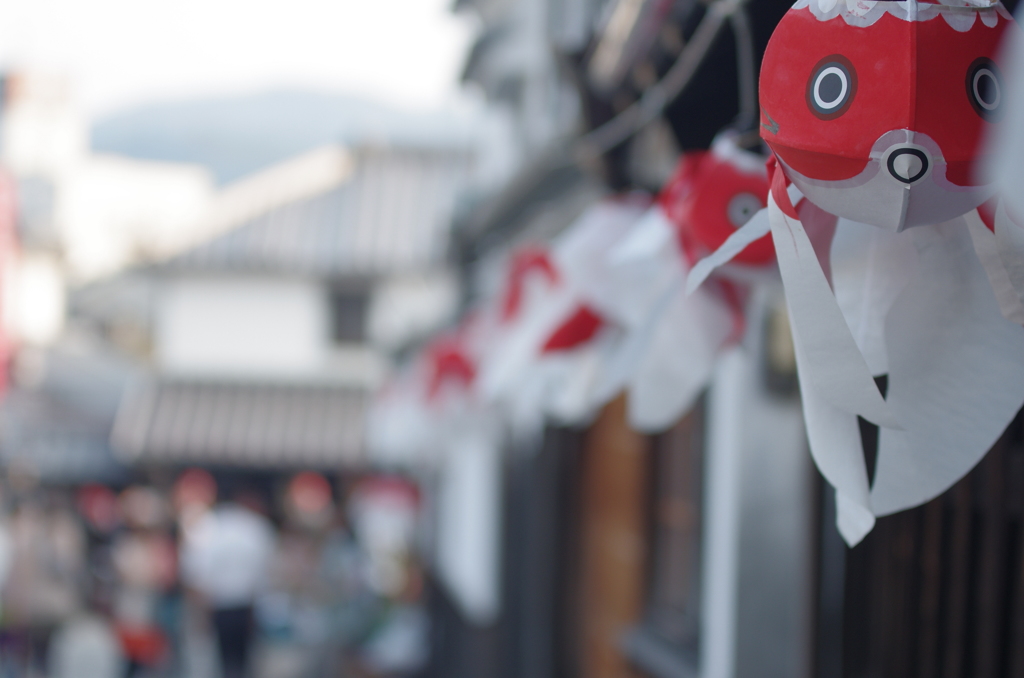金魚ちょうちん祭り001