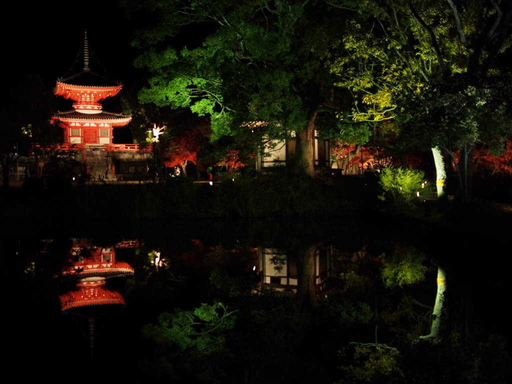 大覚寺001