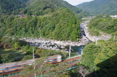IMGP0011