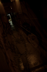 おいでやす～～～