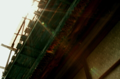 taniroku walk 003