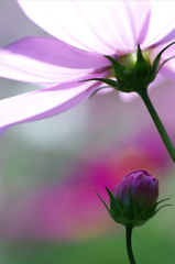 IMGP8953