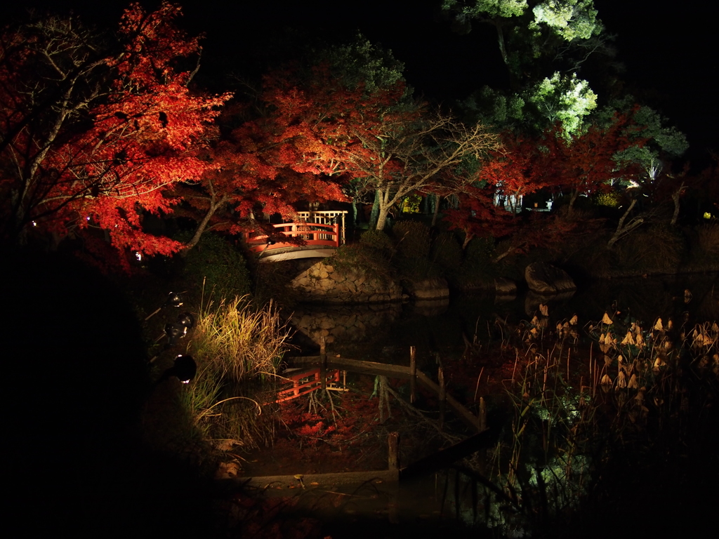 大覚寺002