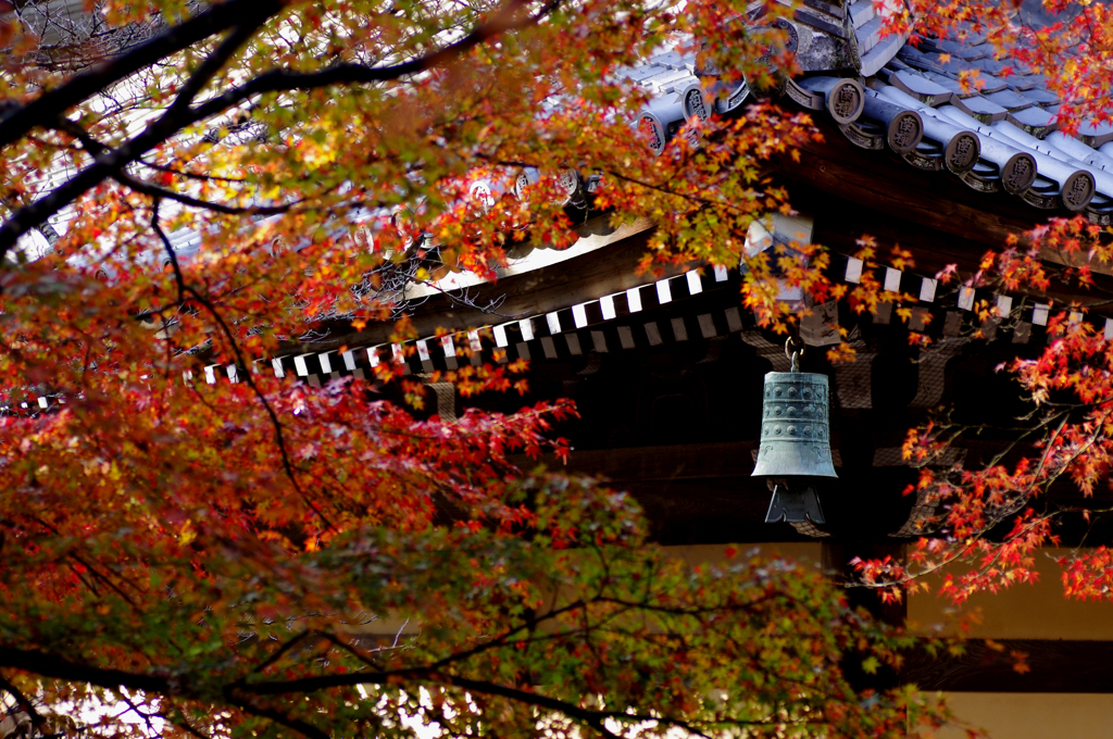 IMGP0765