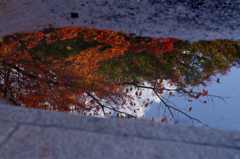 IMGP0838