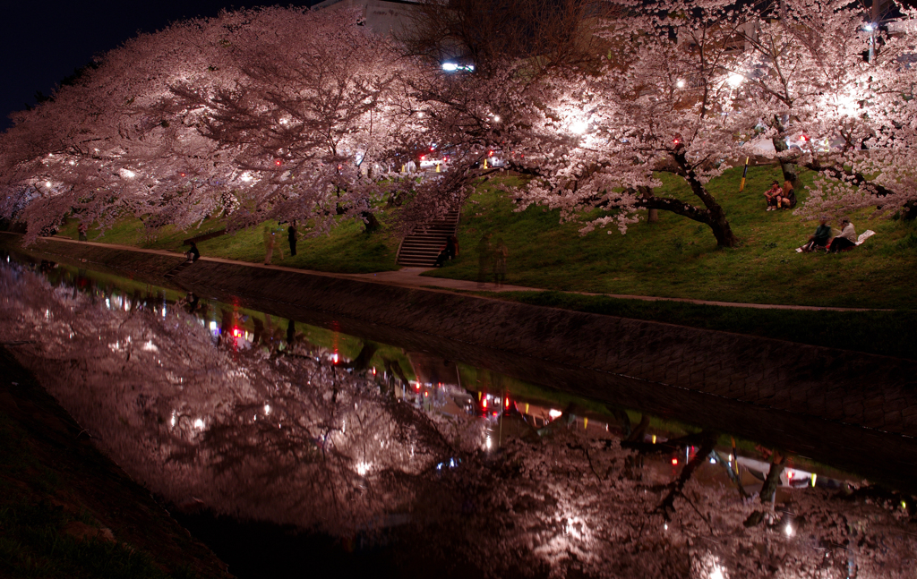 桜川