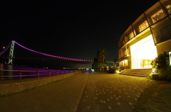 IMGP0082