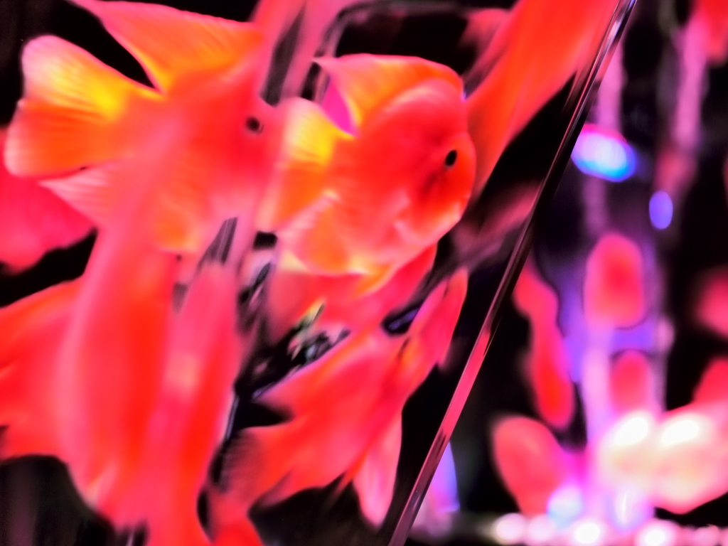 P1217030