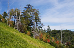 IMGP0061