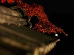 白涙