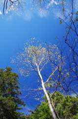 IMGP0180