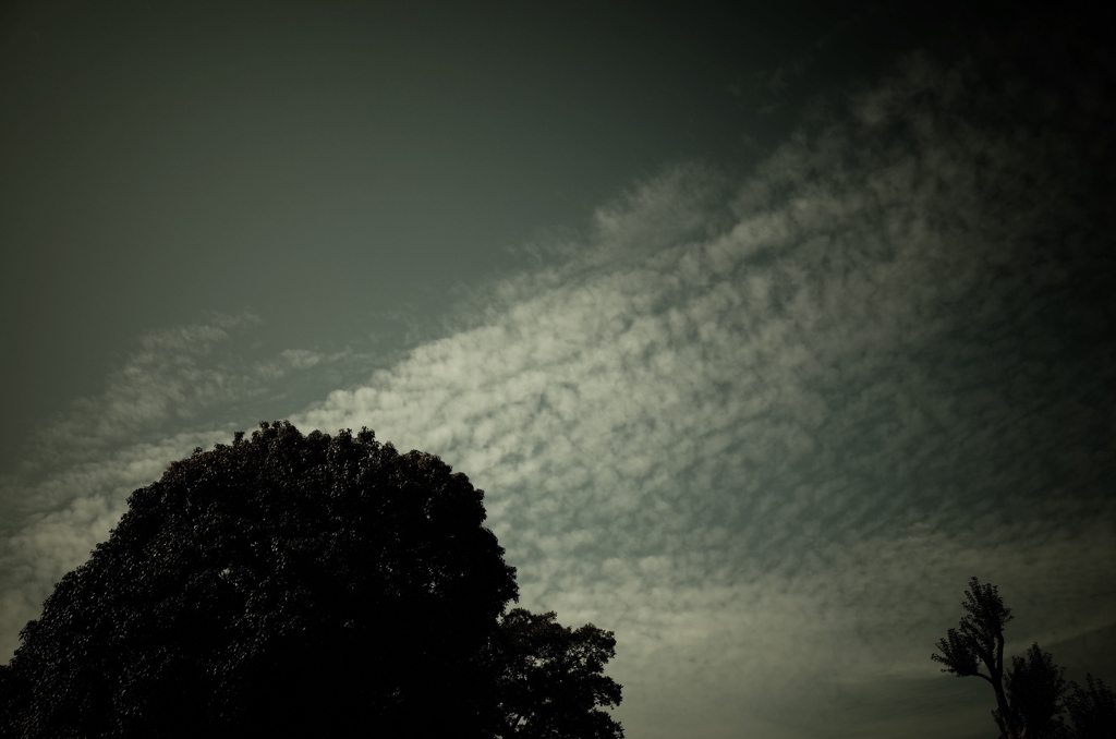 あの日と同じ空