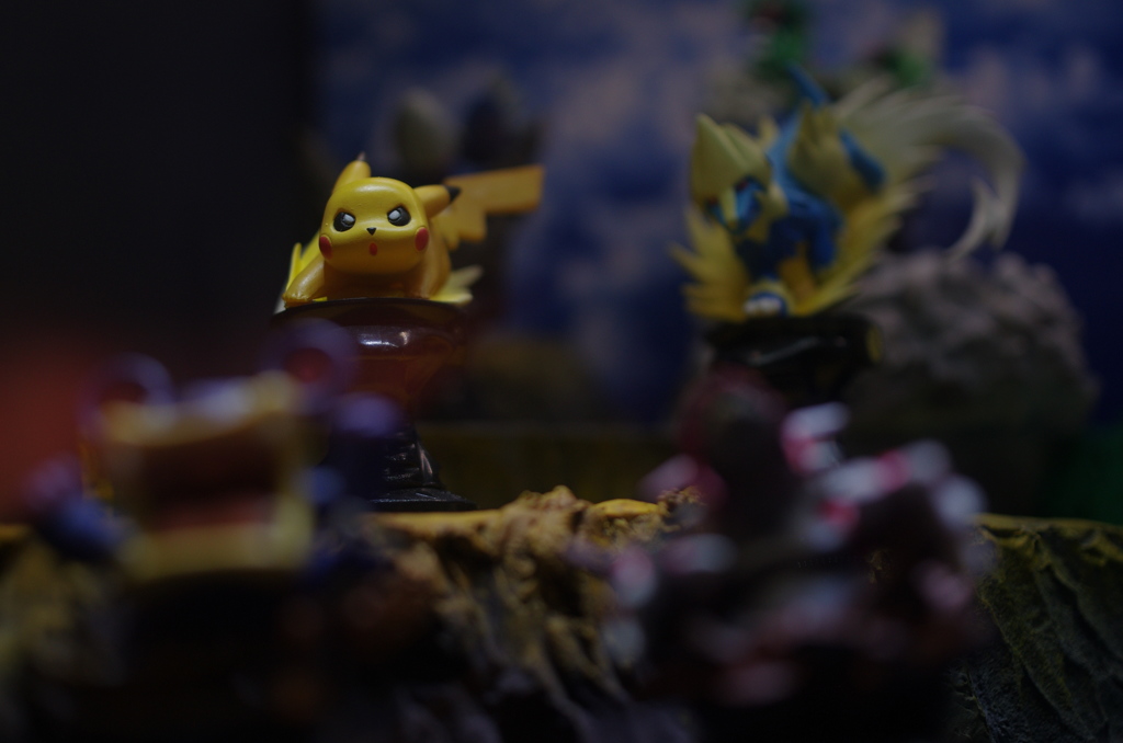 IMGP1567