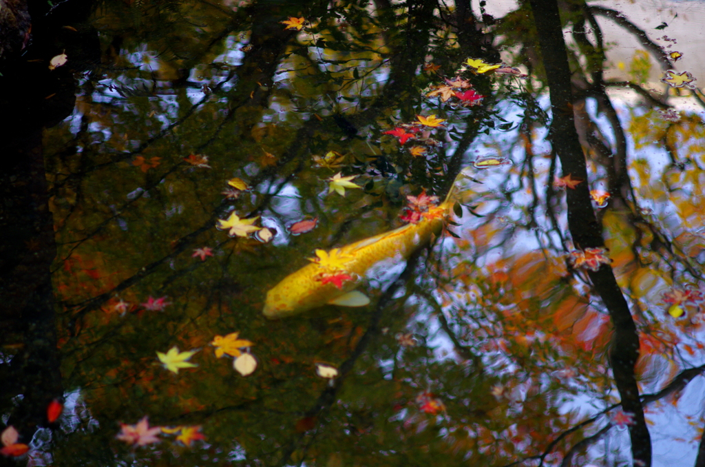 IMGP0253