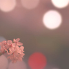 優桜