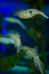 IMGP0046