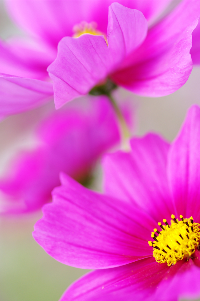 IMGP8749