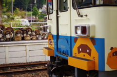 IMGP0402